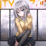 City Zoomer Trainer