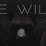 The WILDS Trainer