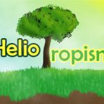 Heliotropism Trainer