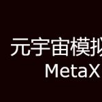 MetaX Trainer