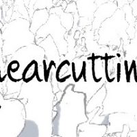 header-2937
