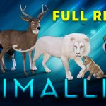 Animallica Trainer