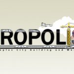 Metropolisim Trainer