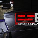 eSports Boxing Club Trainer