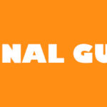 Final Gun Trainer