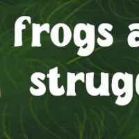 header-401
