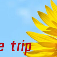 header-184