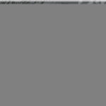 PACIFICATION LIGHT Trainer