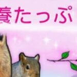栄養たっぷりの彼氏 Trainer