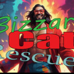Bizzare Cat Rescuer Trainer