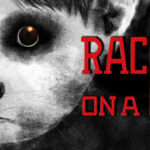 Raccoon on a boat Trainer