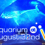Aquarium at August 32nd VR Trainer