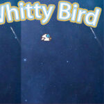 Whitty Bird Trainer