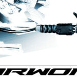 EarWorm Trainer