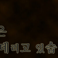 header-254