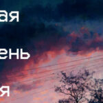 Вторая степень покоя Trainer
