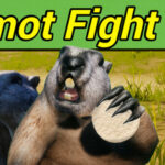 Marmot Fight Club Trainer