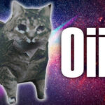 oiia Trainer